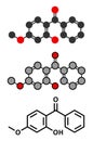 Oxybenzone sunscreen molecule