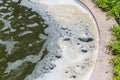 Oxygen bubble in dirty sewage water treatment Royalty Free Stock Photo