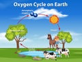 Oxygen cycle on earth