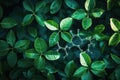 Oxygen molecules forming amid lush green leaves in natural process Royalty Free Stock Photo