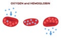 Oxygen and red blood cell , gas exchange . anatomy concept