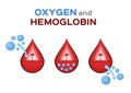 Oxygen and red blood cell , gas exchange in hemoglobin vector