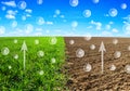 Oxygen release from the wheat field and Carbon dioxide escaping from the soil into the atmosphere.