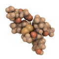 Oxytocin (cuddle hormone) molecule