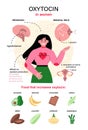 Oxytocin hormone infographics. Chemical strucuture affect on human Royalty Free Stock Photo