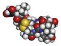 Oxytocin hormone molecule. 3D rendering. Atoms are represented as spheres with conventional color coding: hydrogen white,.