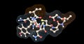 Oxytocin molecule, wireframe surface and ball and stick view 2. 3d rendering