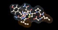 Oxytocin molecule, wireframe surface and ball and stick view. 3d rendering