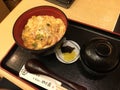 Oyako don for lunch Royalty Free Stock Photo