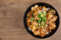 Oyakodon Royalty Free Stock Photo