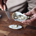 Oyster Royalty Free Stock Photo