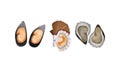 Oyster and Bivalved Mollusk as Seafood and Marine Delicacy Vector Set