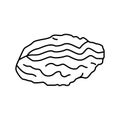 oyster closed shell line icon vector illustration Royalty Free Stock Photo