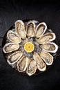 Oyster dozen, top shot on a black stone background Royalty Free Stock Photo