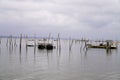 Oyster farm in Cap Ferret in winter sunrise in herbe village Royalty Free Stock Photo