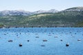 Oyster Farm Royalty Free Stock Photo