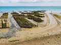 Oyster farm at low tide, Cancale coast, Brittany, France