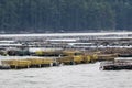 Oyster farming in the Damariscotta River, Maine, involving traps and cages