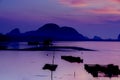 The Oyster Farms at Fisherman village at Samchong-tai, Phang Nga, Thailand Royalty Free Stock Photo