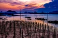 The Oyster Farms at Fisherman village at Samchong-tai, Phang Nga, Thailand Royalty Free Stock Photo