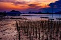 The Oyster Farms at Fisherman village at Samchong-tai, Phang Nga, Thailand Royalty Free Stock Photo