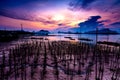 The Oyster Farms at Fisherman village at Samchong-tai, Phang Nga, Thailand Royalty Free Stock Photo