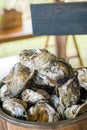 Oyster Royalty Free Stock Photo