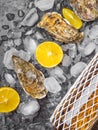 Oyster on ice, lemon slices, wine bottle. Delicatessen and gourment food, rich in iodine, antioxidants, zinc