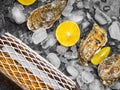 Oyster on ice, lemon slices, wine bottle. Delicatessen and gourment food, rich in iodine, antioxidants, zinc