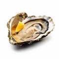 oyster isolated, Opened pacific oyster, white background,