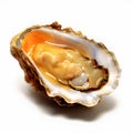 oyster isolated, Opened pacific oyster, white background,