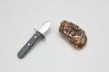 Oyster and Knife Royalty Free Stock Photo