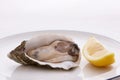 Oyster and Lemon