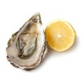 Oyster and Lemon Royalty Free Stock Photo