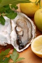 Oyster, lemon and parsley