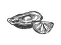 Oyster with lemon sea animal engraving vector