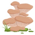 Oyster mushroom in green moss. Cartoon fungus icon