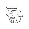 Oyster mushroom line outline icon