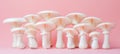 Oyster mushroom pleurotus ostreatus on a delicate soft pastel colored background