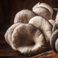 Oyster mushroom on vintage wooden kitchen table, still life in rustic style, selective focus Royalty Free Stock Photo