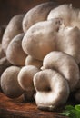 Oyster mushroom on vintage wooden kitchen table, still life in rustic style, selective focus Royalty Free Stock Photo