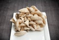 Oyster Mushrooms