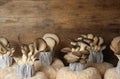 Oyster mushrooms growing in sawdust on wood, space for text. Cultivation of fungi