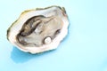 Oyster with a pearl on blue background- shallow DOF