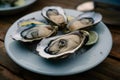 Oyster on the plate, a seafood delicacy captured beautifully