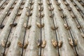 Oyster production in the oster ferm.