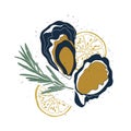 Oyster set. Isolated oysters, lemon slices and rosemary on white background. Hand drawn illustration with texture for