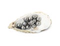 Oyster shell with black pearls on white background, top view Royalty Free Stock Photo