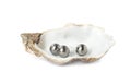 Oyster shell with black pearls on white background Royalty Free Stock Photo