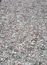 Oyster shell, Crushed oyster shell, Royalty Free Stock Photo